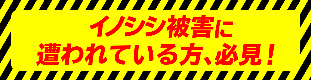 イノシシ被害に遭われている方！すぐに連絡ください！ゴルフ場で猪の被害に遭われている方にも必見！