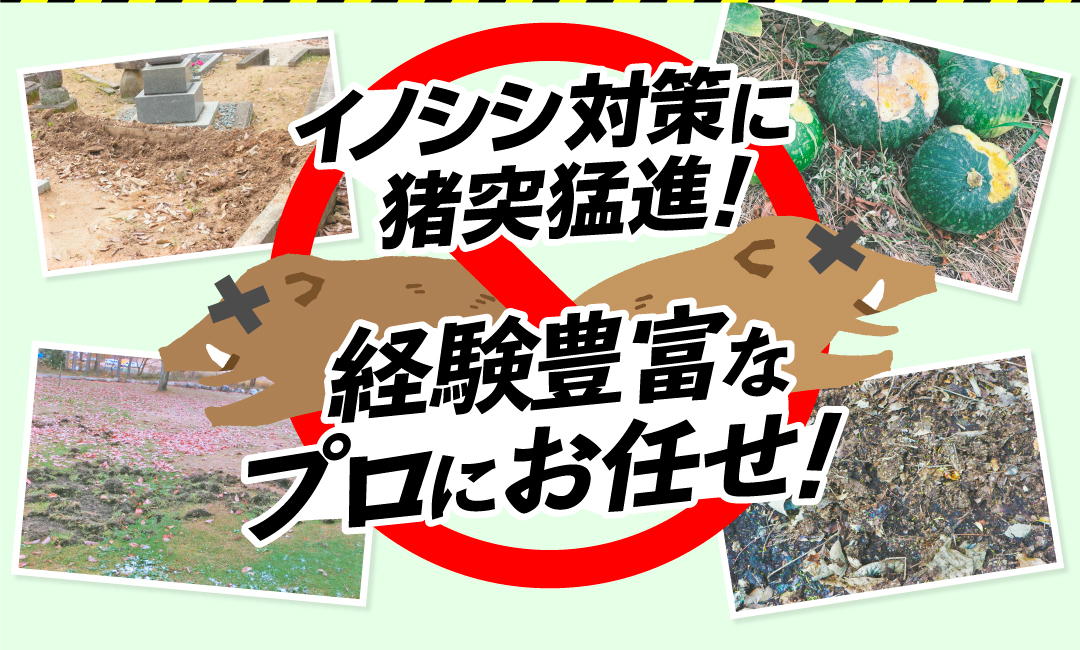 猪対策に猪突猛進！経験豊富な中津川清掃にお任せ！ゴルフ場でも対応！