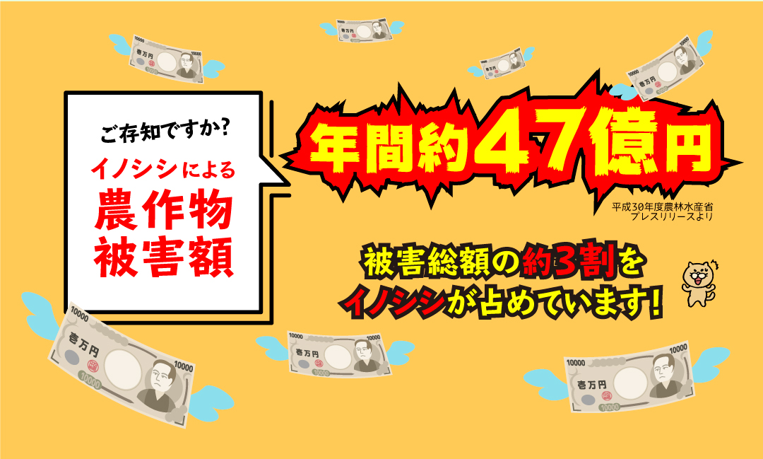 イノシシによる農作物の被害額は年間約47億円と言われています。