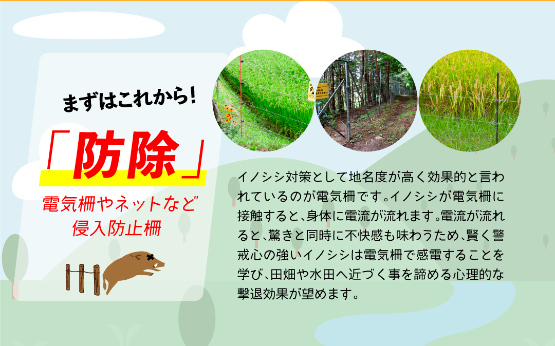 イノシシを電気柵やネットなどの侵入防止柵で防除